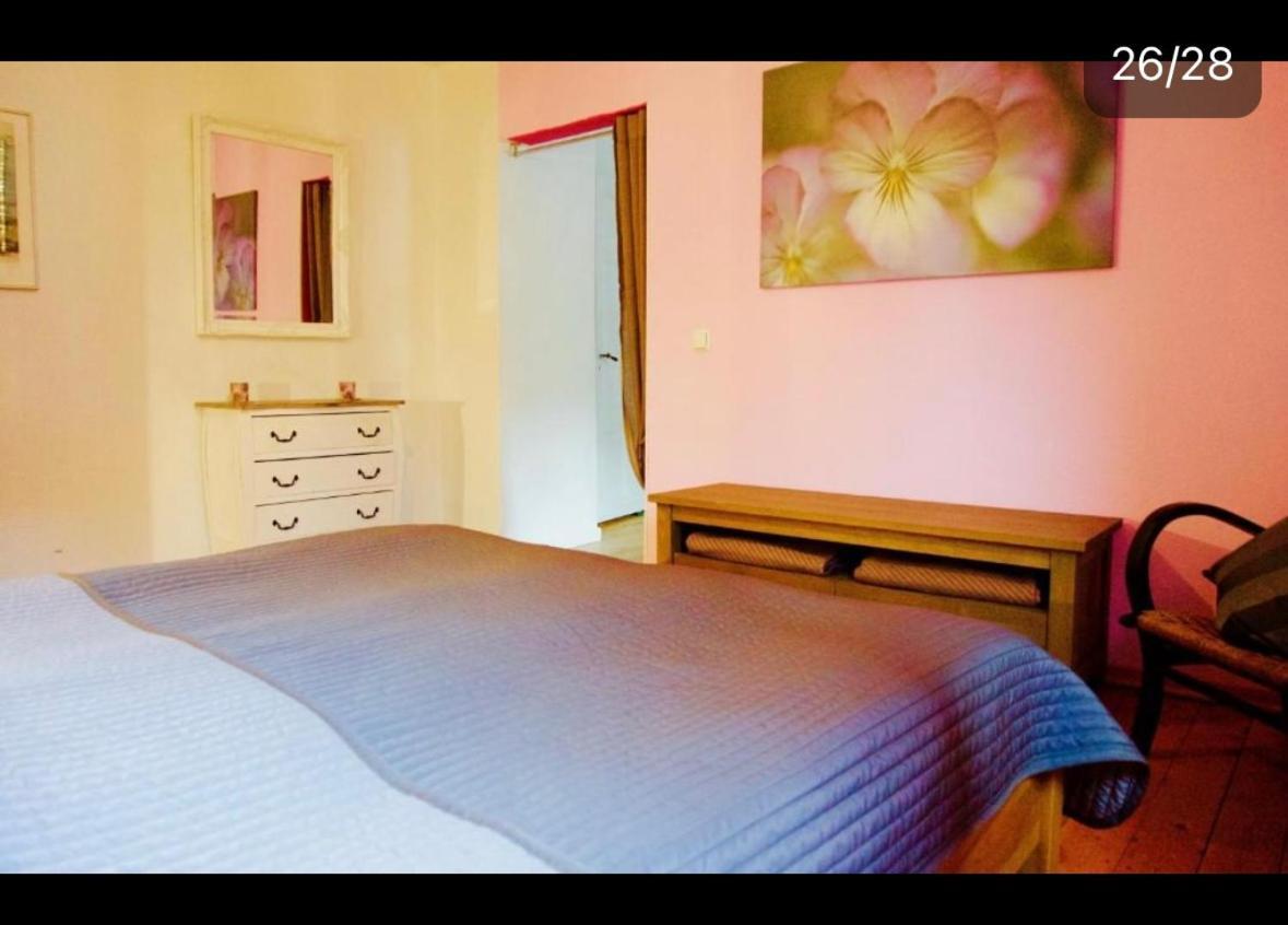 Apartment Moselblick Mit Kamin Verbandsgemeinde Verbandsgemeinde Traben-Trarbach Buitenkant foto